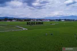 Alokasi Pupuk Subsidi Sumatera Barat