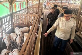 Legislator ajak generasi muda tak ragu berkreasi buka lapangan kerja