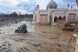 Kemenhut: Kayu banjir di Aceh Tamiang bisa dimanfaatkan pemerintah daerah