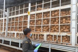 Barantin Kepri fasilitasi ekspor 129,4 ton santan kelapa beku