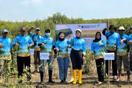 KEHATI dan BTN tanam 7.500 mangrovedi tiga wilayah pesisir Indonesia
