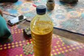 Petani Lombok Tengah manfaatkan pestisida nabati kurangi bahan kimia