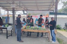 Koramil 1702-01 Jayawijaya mendorong ketahanan pangan warga Wamena dengan gelar GPM