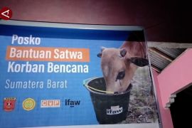 COP bantu penanganan satwa terdampak bencana alam di Agam