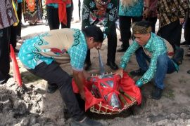 Jelang pergantian tahun, warga Dayak Palangka Raya gelar Mamapas Lewu