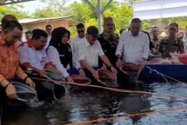 KKP bangun budi daya ikan untuk Kopdes Merah Putih di Situbondo