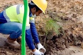 Konservasi tanah wajibkan pengguna lahan jaga fungsi lingkungan