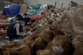 OJK perluas pembiayaan terintegrasi untuk komoditas kelapa