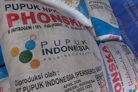 Pemprov Sumsel ajukan tambahan 76 ribu ton pupuk subsidi untuk 2026