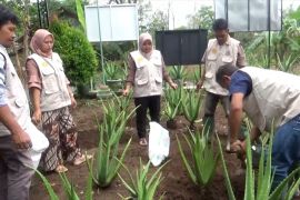 Swasembada pangan jadi momentum P4S kembangkan kemitraan usaha