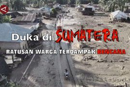 BNPB catat 604 korban jiwa bencana alam Sumatera, 464 lainnya hilang