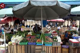 BPS Bali ungkap permintaan sayuran meningkat berkat dapur SPPG