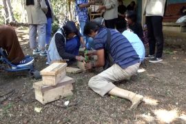 D.I. Yogyakarta perbesar peluang kerja bagi penyandang disabilitas