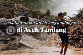 Di balik tumpukan kayu gelondongan di Aceh Tamiang
