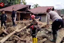 Duga kayu di Sumatera hasil pembalakan liar, Muzani: Jadi pelajaran!