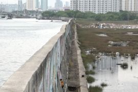 Gubernur Pramono tinjau tanggul laut Penjaringan yang alami kebocoran