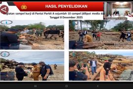 Kasus temuan kayu gelondongan di Sumut naik ke tahap penyidikan