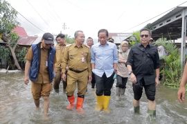 Menteri LH Hanif tinjau titik banjir di Kabupaten Banjar