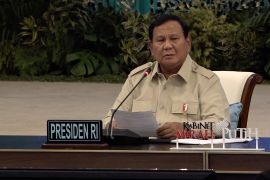 Prabowo minta Papua ditanami sawit dan singkong demi swasembada energi