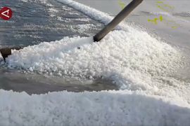 Produksi garam nasional 1 juta ton pada 2025, turun karena cuaca