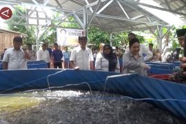 Kolam terpal bulat sistem kocor diminati pembudidaya lele di Bantul