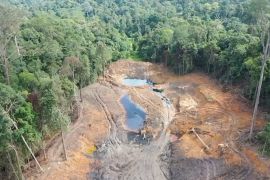 Kemenhut cabut 22 izin pemanfaatan hutan yang dinilai bermasalah
