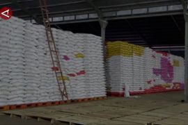 Stok beras di Bulog Sultra capai 80 ribu ton, aman hingga setahun