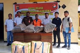 BNN Papua ungkap 15 kasus narkotika selama 2025