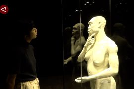 Tilik Sejarah Awal, kini bisa temui fosil Java Man di Museum Nasional