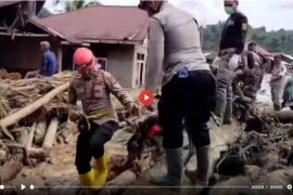 Ini temuan awal pembalakan liar pemicu banjir Sumatera - VIDEO