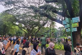 113.398 wisatawan kunjungi Taman Margasatwa Ragunan pada Tahun Baru 2026