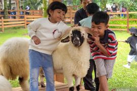 Wisata edukasi Ijen Farmhouse Banyuwangi jadi destinasi favorit baru