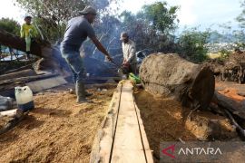 Korban banjir dan longsor di Aceh Tengah olah kayu gelondongan untuk hunian sementara