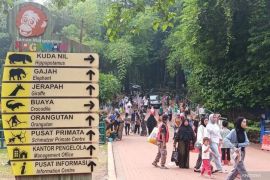 Pengelola Taman Margasatwa Ragunan prioritaskan penambahan petunjuk arah kandang satwa