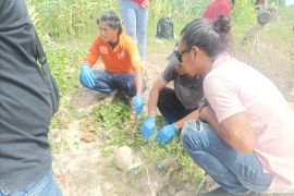 Polisi selidiki temuan tengkorak kepala di kawasan Pantai Hu\'u Dompu