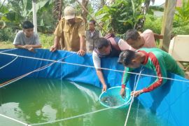 Dinas Perikanan Kotim bagikan 100 ribu bibit ikan selama 2025