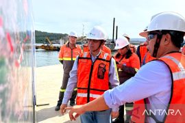 Direktur MIND ID apresiasi progres proyek hilirisasi HPAL PT Vale di Pomalaa