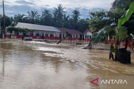 Banjir bandang kembali kepung Tapsel, Desa Bandar Tarutung terisolasi