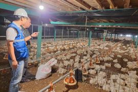 Tarif listrik tidak naik, PLN komitmen jaga kualitas layanan