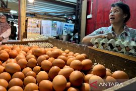 Harga pangan Sabtu ini, cabai rawit merah Rp67.300/kg dan telur ayam Rp32.750/kg