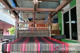 Pemkot Samarinda perkuat perlindungan identitas bangsa melalui budaya lokal