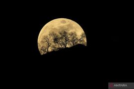 Beginilah fenomena Supermoon terlihat sempurna di Provinsi Jiangsu, China