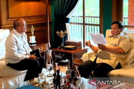CEO Danantara temui Prabowo, bahas proyek hilirisasi Rp100 T