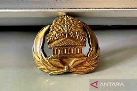 Pemkab Natuna berhentikan ASN pelaku pencabulan anak