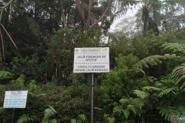 7.367 orang tercatat mendaki Gunung Dempo sepanjang tahun 2025