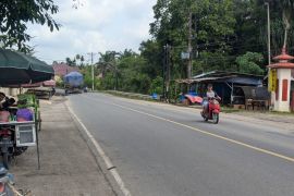 Jalan Lintas timur Sumatera di Tanjabbar Jambi sudah bisa dilalui kendaraan
