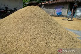 Beras satu harga perlu dukungan stok dan distribusi kuat