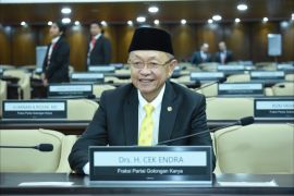 Anggota DPR: Penataan kuota produksi tambang jaga stabilitas harga