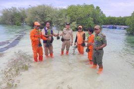 Pemkab Kepulauan Seribu gencar tanam mangrove cegah abrasi