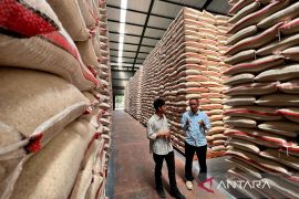 Bapanas ungkap tiga indikator RI raih swasembada beras